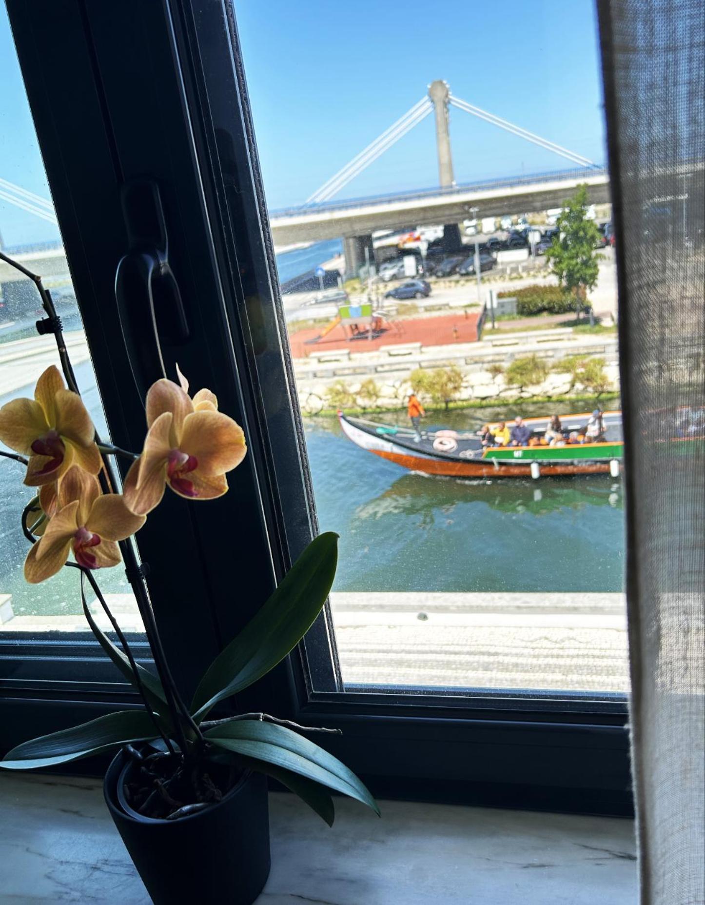 Flamingo Apartment アヴェイロ エクステリア 写真